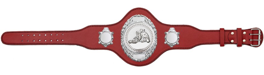 JIU JITSU CHAMPIONSHIP BELT-PLT286/S/JJS-4 COLOURS JIU JITSU CHAMPIONSHIP BELT-PLT286/S/JJS-4 COLOURS